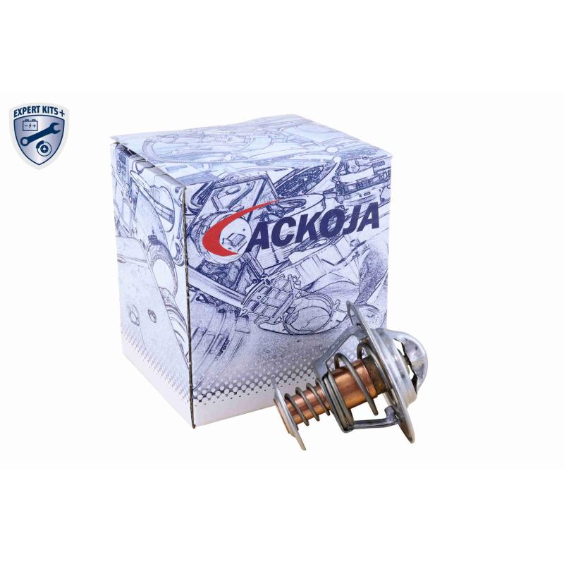 Thermostat d'eau ACKOJA A52-99-0025 - Visuel 1