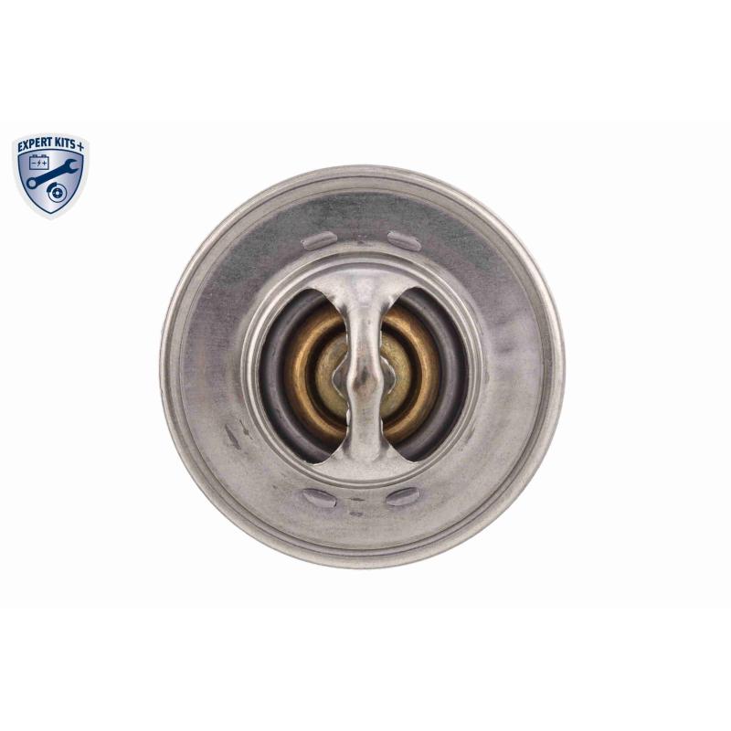 Thermostat d'eau ACKOJA A52-99-0025 - Visuel 2