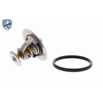 Thermostat d'eau ACKOJA OEM 255003B060