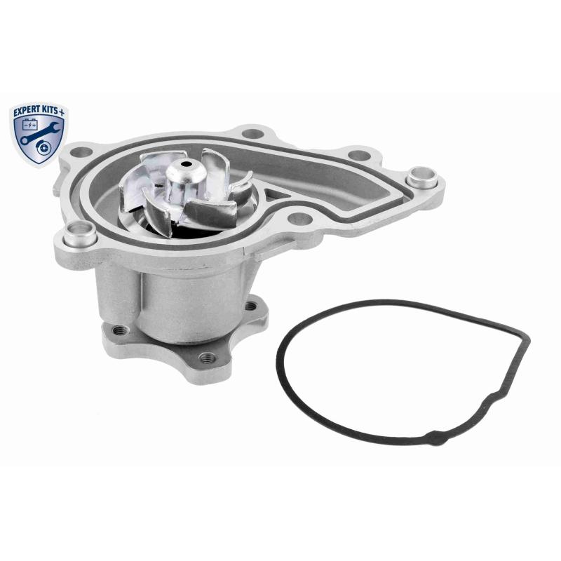 Pompe à eau ACKOJA A53-0700 - Visuel 1