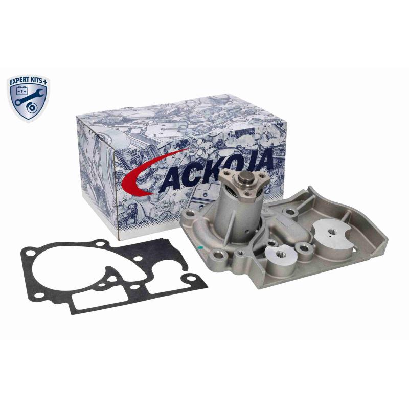 Pompe à eau ACKOJA A53-50001 - Visuel 1