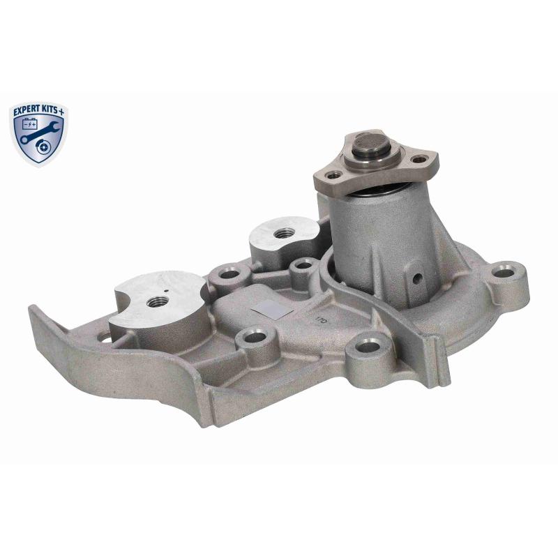 Pompe à eau ACKOJA A53-50001 - Visuel 2