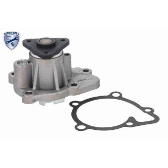 Pompe à eau ACKOJA A53-50009