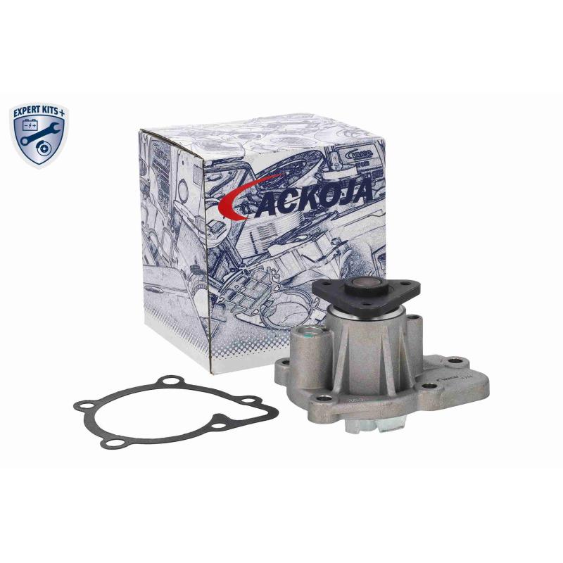 Pompe à eau ACKOJA A53-50009 - Visuel 1
