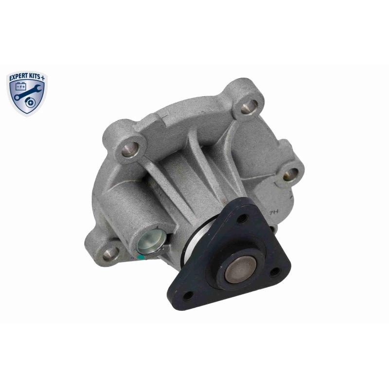 Pompe à eau ACKOJA A53-50009 - Visuel 2