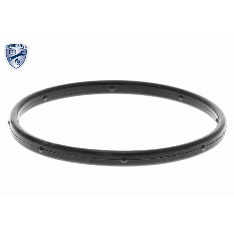 Pompe à eau ACKOJA A53-50010 - Visuel 2