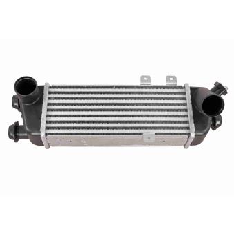 Intercooler, échangeur ACKOJA A53-60-0006