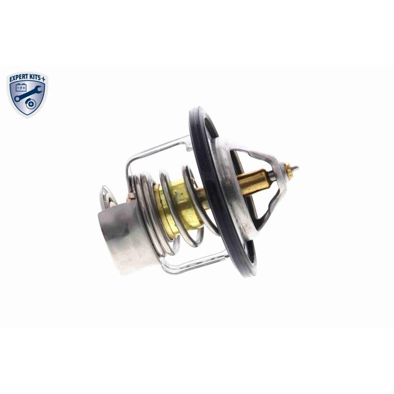 Thermostat d'eau ACKOJA A54-99-0003 - Visuel 2