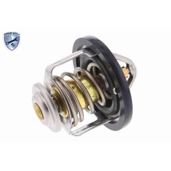 Thermostat d'eau ACKOJA OEM 9004833092