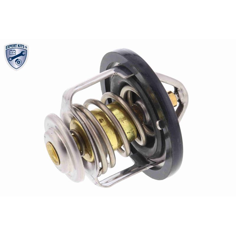 Thermostat d'eau ACKOJA A55-99-0001 - Visuel 1