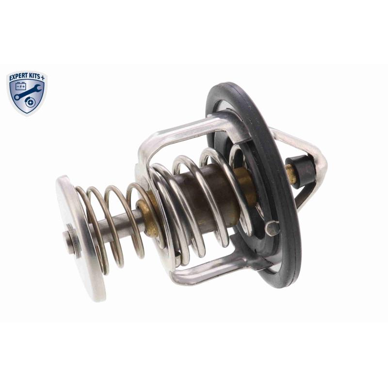 Thermostat d'eau ACKOJA A55-99-0002 - Visuel 1