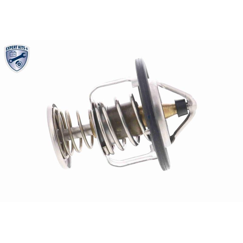 Thermostat d'eau ACKOJA A55-99-0002 - Visuel 2