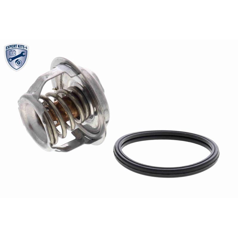 Thermostat d'eau ACKOJA A63-99-0004 - Visuel 1