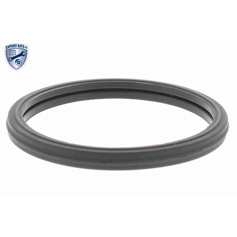 Thermostat d'eau ACKOJA A63-99-0004 - Visuel 2