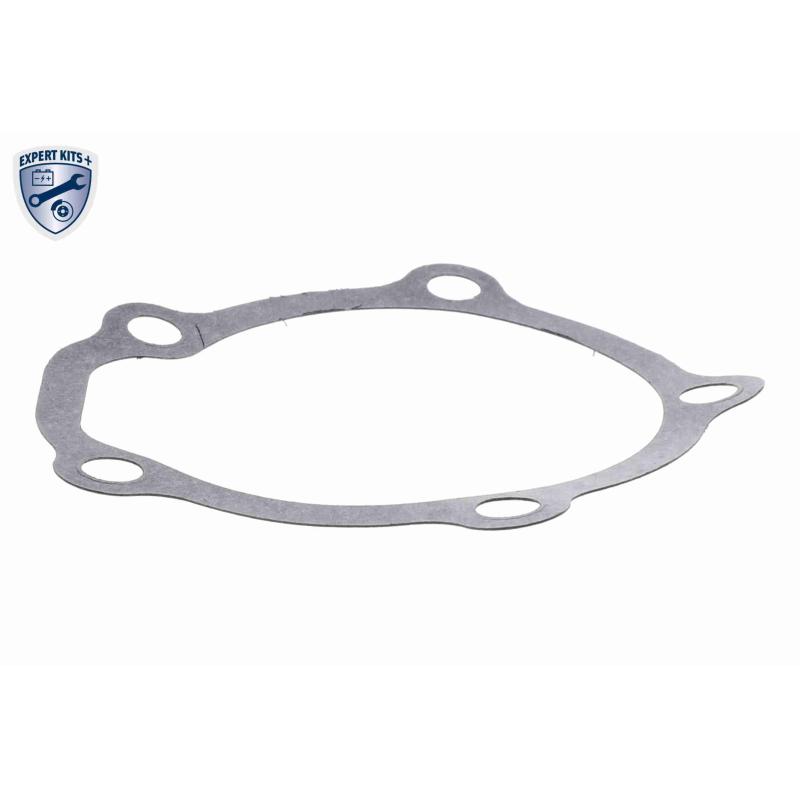 Pompe à eau ACKOJA A64-50001 - Visuel 2