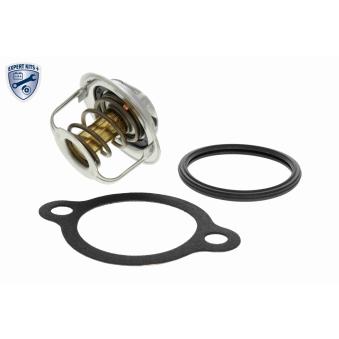 Thermostat d'eau ACKOJA OEM 1760060814000