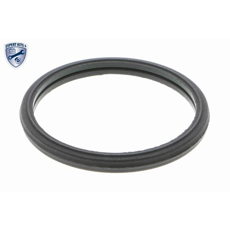 Thermostat d'eau ACKOJA A64-99-0006 - Visuel 1