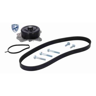 Pompe à eau+Jeu de courroie trapézoïdale à nervures ACKOJA [A70-0680]