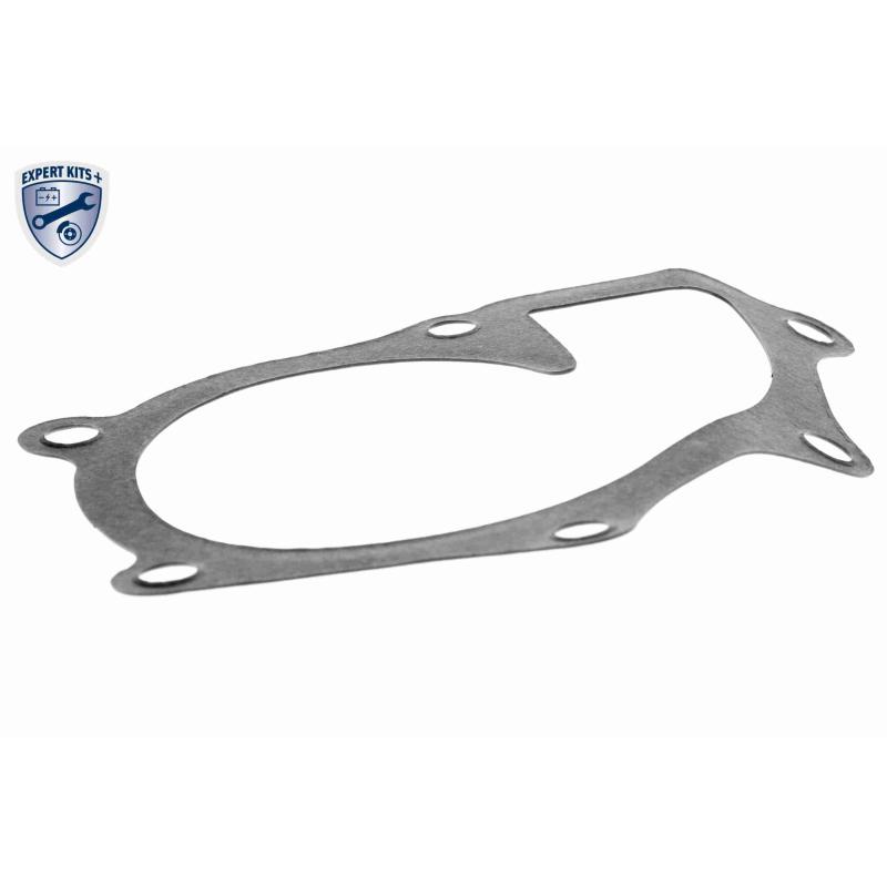 Pompe à eau ACKOJA A70-50004 - Visuel 1