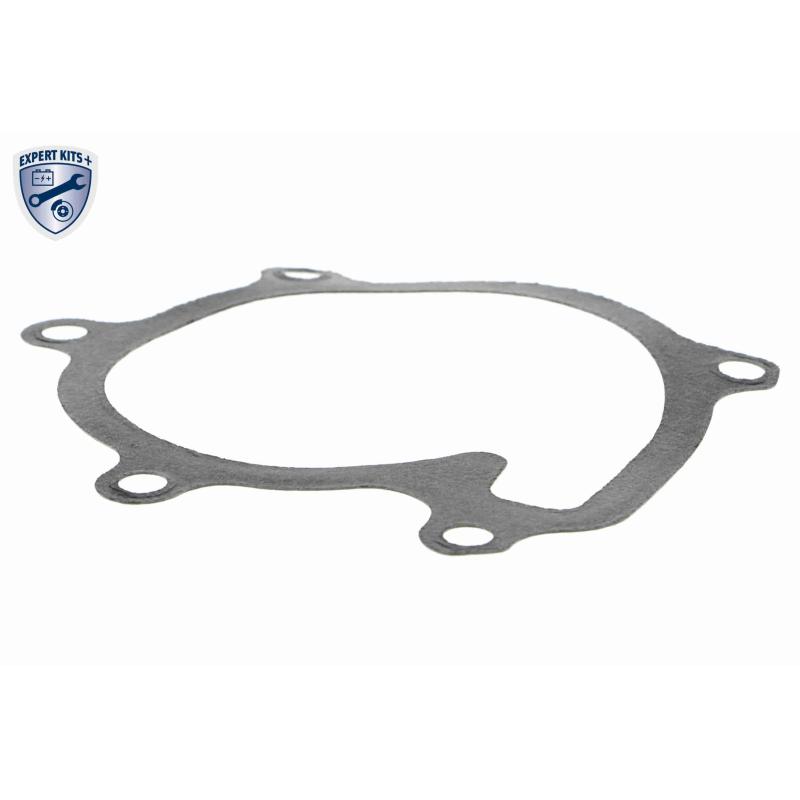 Pompe à eau ACKOJA A70-50019 - Visuel 1