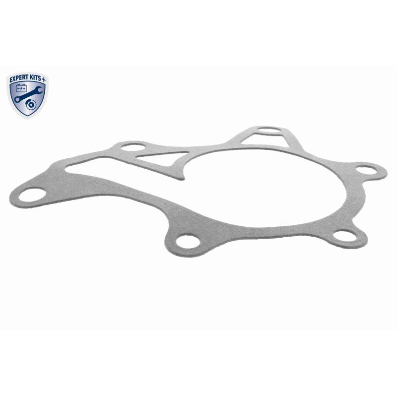 Pompe à eau ACKOJA A70-50024 - Visuel 1