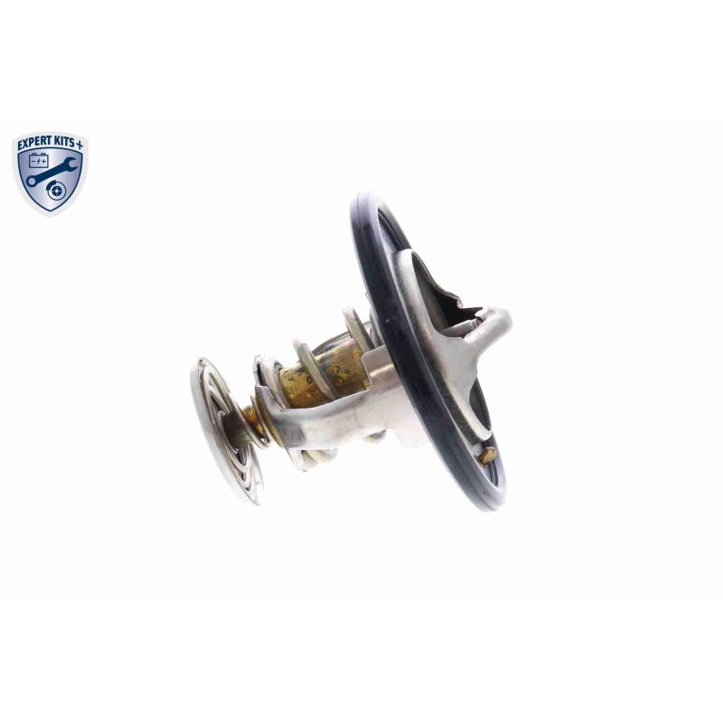 Thermostat d'eau ACKOJA A70-99-0003 - Visuel 2