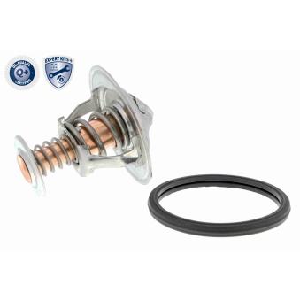 Thermostat d'eau ACKOJA OEM 9091603140