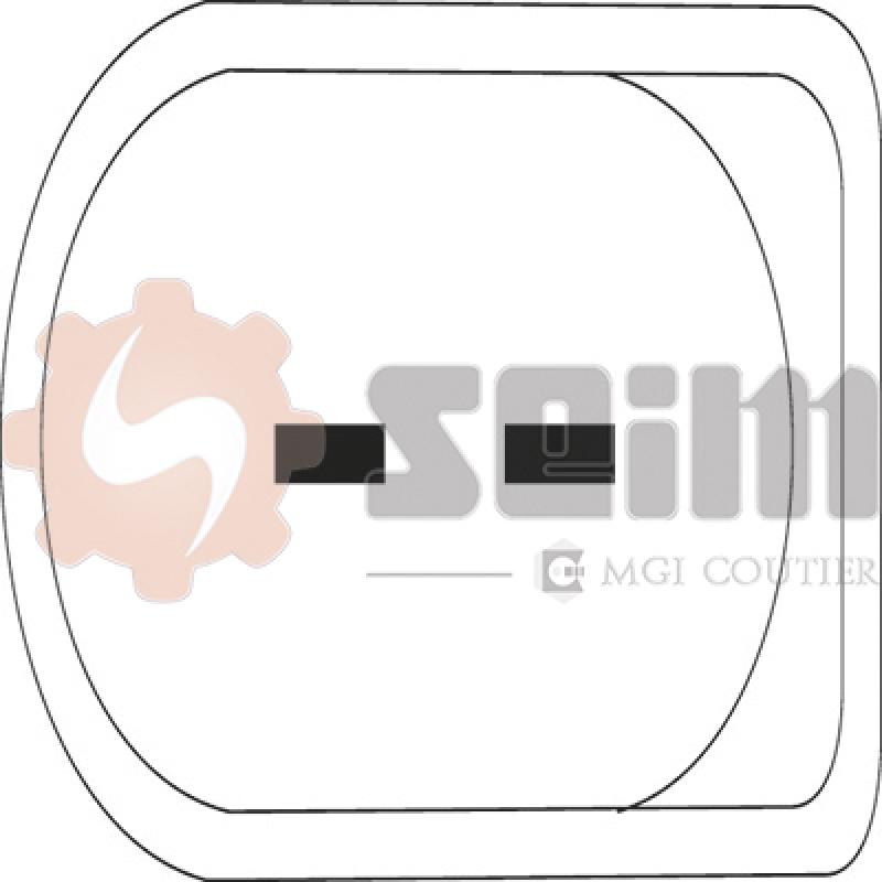 Lève-vitre SEIM 900558 - Visuel 1
