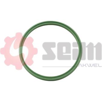 Gaine de suralimentation SEIM [981968]