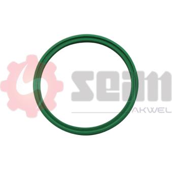 Gaine de suralimentation SEIM 981970 pour FORD TRANSIT 1.9 TDI - 101cv