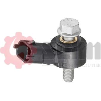 Capteur de cognement SEIM [CC08]