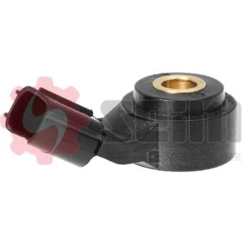 Capteur de cognement SEIM [CC12]