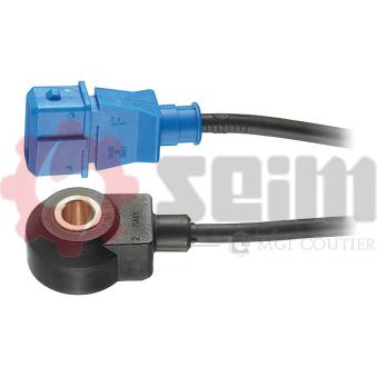 Capteur de cognement SEIM [CC14]