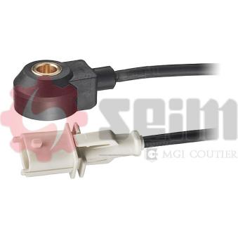 Capteur de cognement SEIM [CC15]