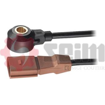 Capteur de cognement SEIM [CC19]