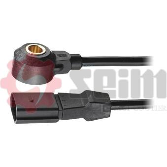 Capteur de cognement SEIM [CC22]