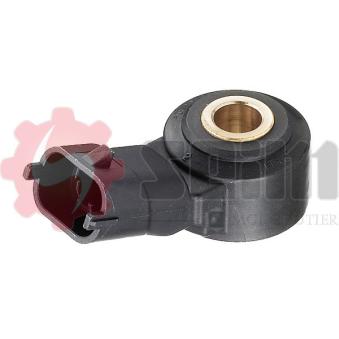 Capteur de cognement SEIM [CC58]