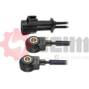 Capteur de cognement SEIM [CC67]