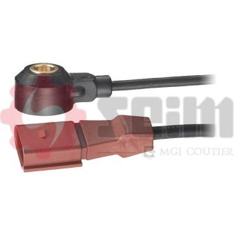 Capteur de cognement SEIM [CC82]