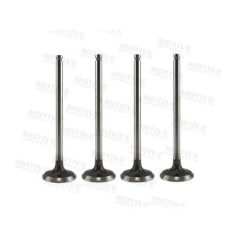 Soupape d'émission MOTIVE [EV10104]