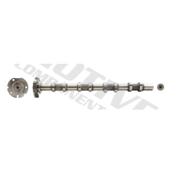 Arbre à came MOTIVE T1952