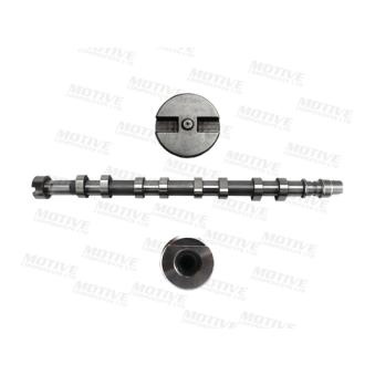 Arbre à came MOTIVE OEM 8200019183