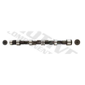 Arbre à came MOTIVE [T2063]