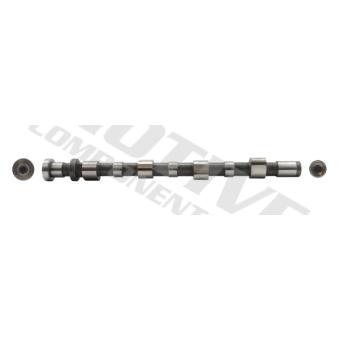 Arbre à came MOTIVE [T2096]