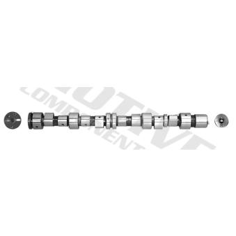 Arbre à came MOTIVE T2164