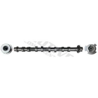 Arbre à came MOTIVE [T4434]