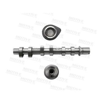 Arbre à came MOTIVE [T4474]