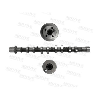 Arbre à came MOTIVE T4517