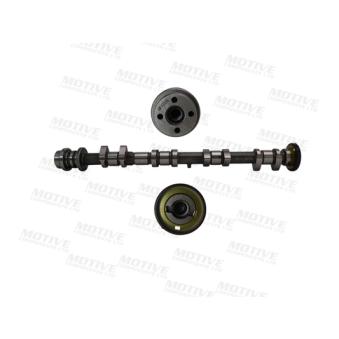 Arbre à came MOTIVE [T4561]