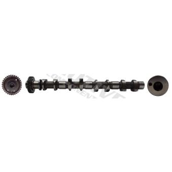 Arbre à came MOTIVE T8199